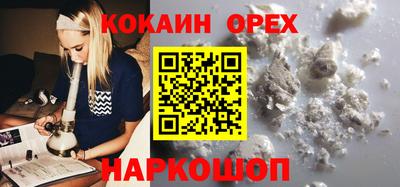гашик Ливны