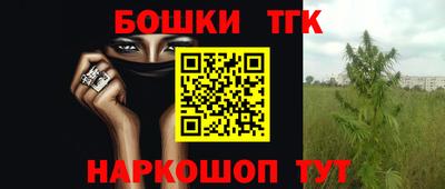 гашик Ливны