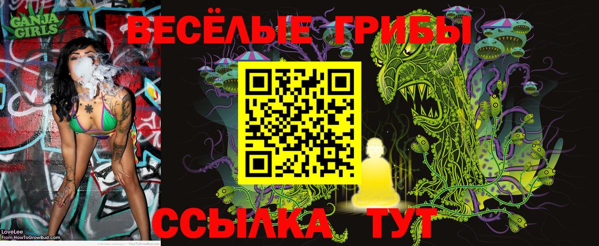 Галлюциногенные грибы Psilocybine cubensis Волгодонск
