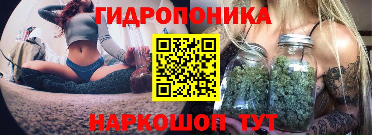 Канабис гибрид  Конопля конопля  Бошки марихуана Amnesia  Волгодонск  Вход с VPN  Каннабис планчик 